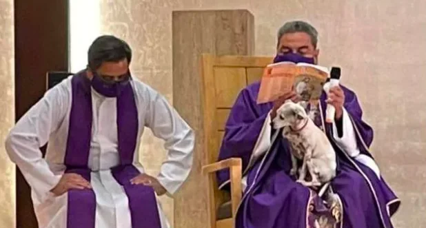 Il sacerdote celebra la messa con il cane sulle ginocchia